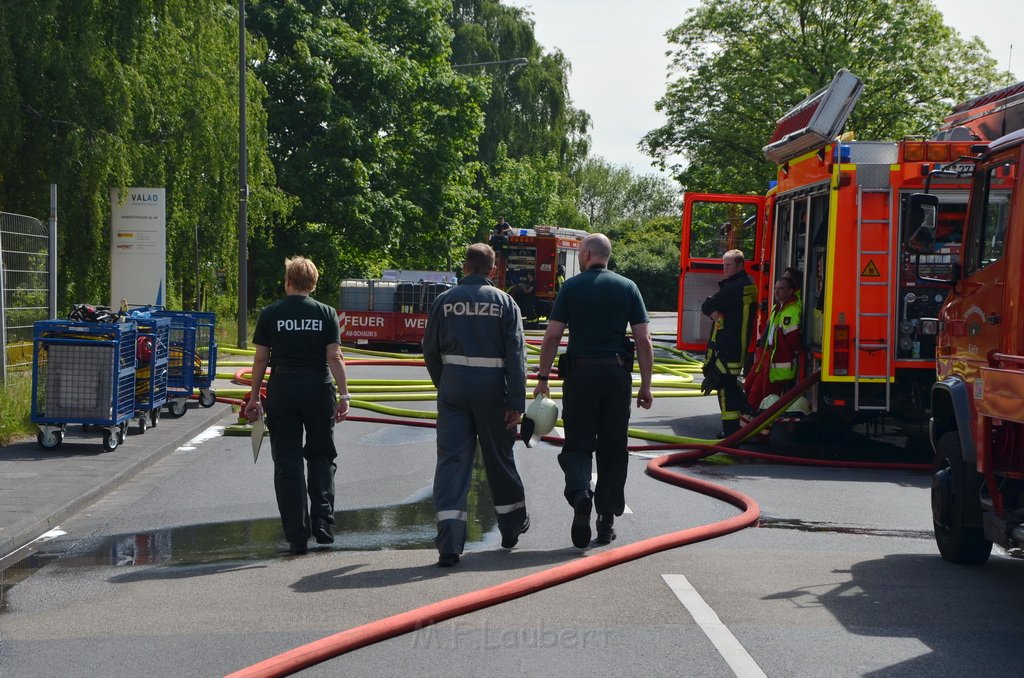 Grossfeuer Poco Lager Koeln Porz Gremberghoven Hansestr P993.JPG - Miklos Laubert